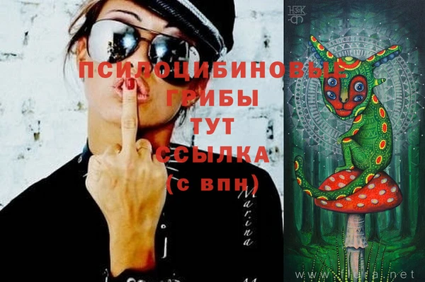 СК Сясьстрой