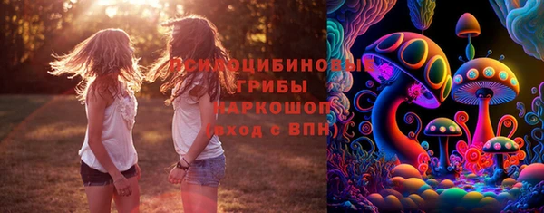 дживик Богданович