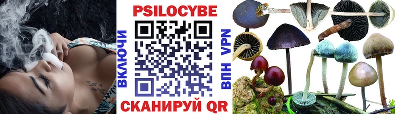наркотики  МЕГА маркетплейс  Галлюциногенные грибы GOLDEN TEACHER  Вышний Волочёк 
